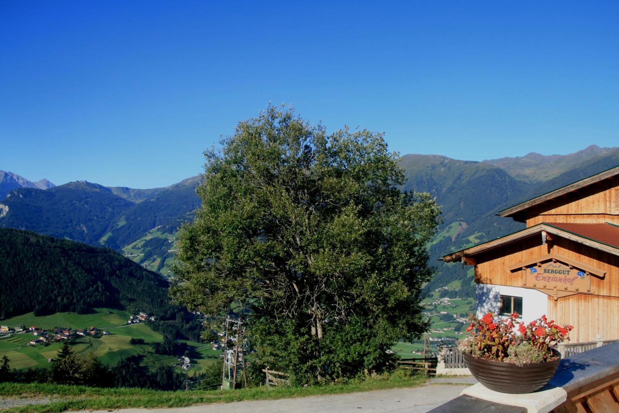 Alpengasthof Enzianhof Zell am Ziller Εξωτερικό φωτογραφία